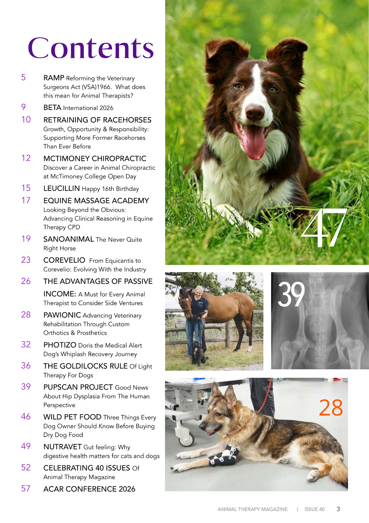 ISSUE 40