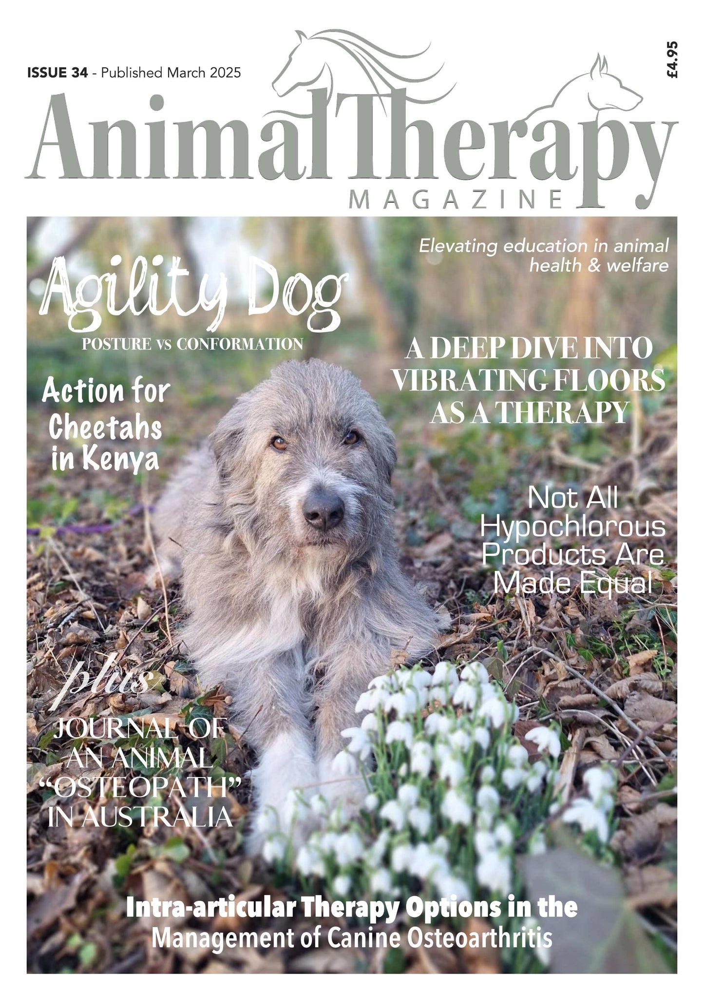 ISSUE 34