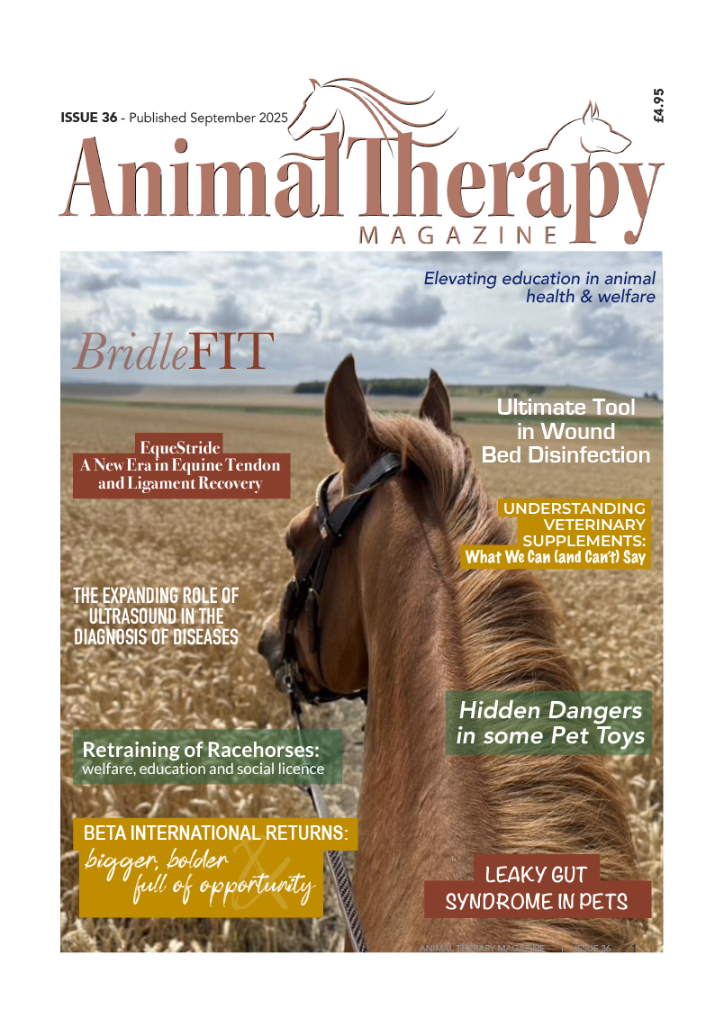 ISSUE 36