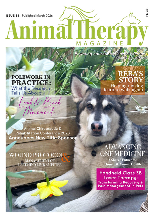ISSUE 38