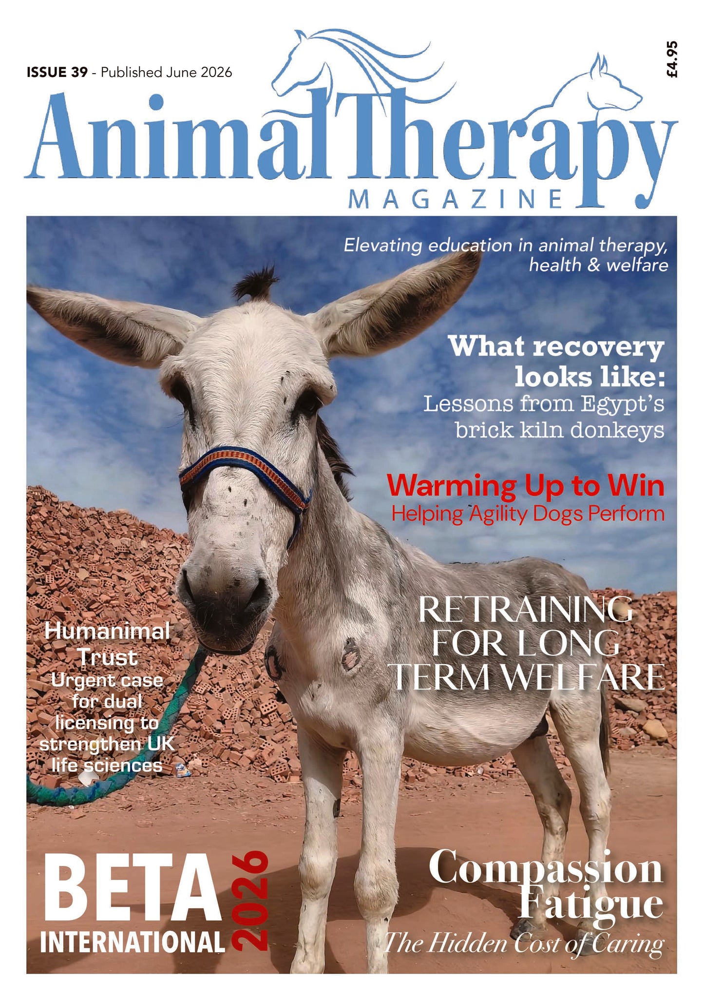 ISSUE 39