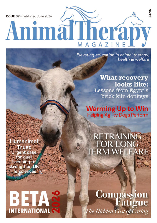ISSUE 39