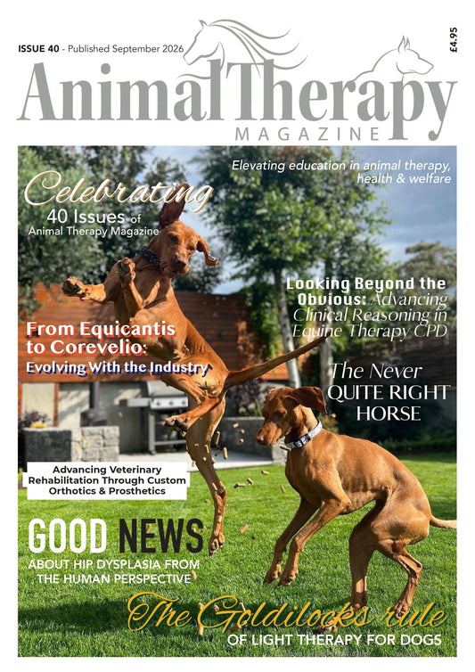 ISSUE 40